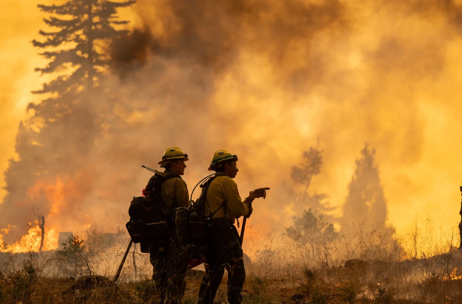 Two wildland firefighters assessing an advancing fire through heavy smoke.
